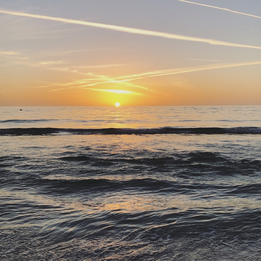 Meet your Posher, Maggie